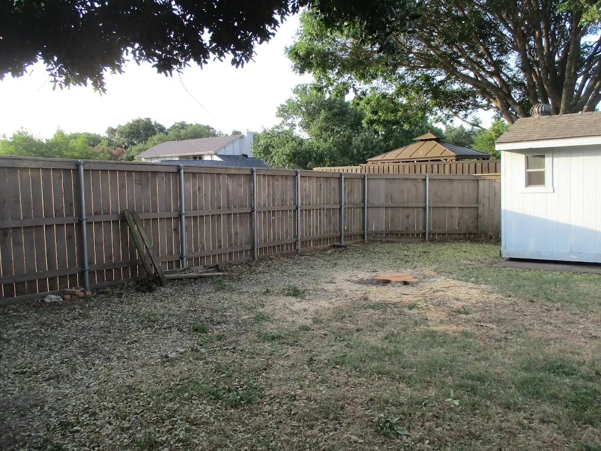 Cleared yard after professional tree removal in East Windsor